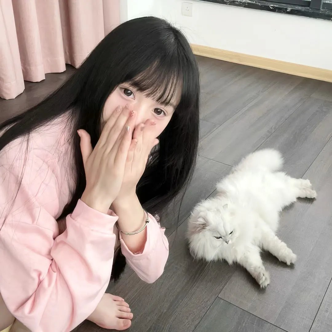 十三个原因第二季